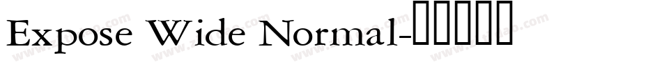Expose Wide Normal字体转换